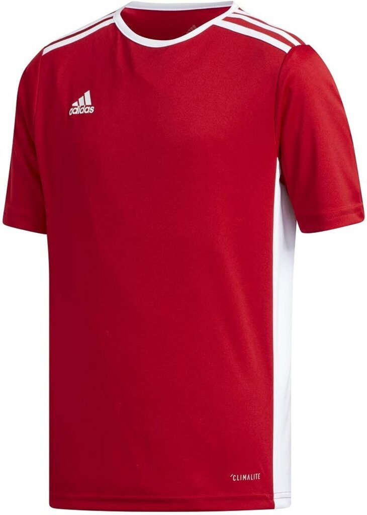 adidas Boys Entrada 18 Jersey