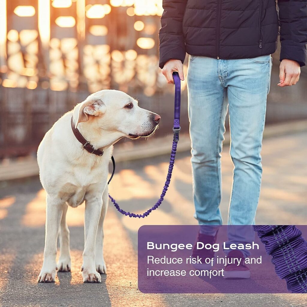 BUMBIN 6Ft Dog Leash Large Dogs, Bungee Dog Leash with 2 Handles, Heavy Duty Dog Leashes for Medium Small Dogs, No Pull Shock Absorbing Dog Leash with Car Seat Belt for Training Purple