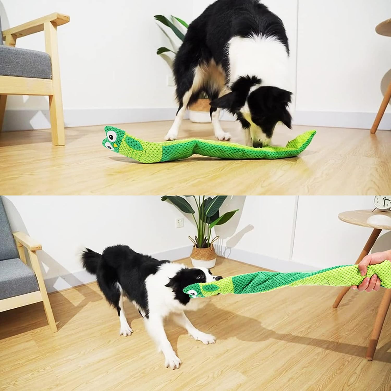 https://sharefountain.com/wp-content/uploads/2023/08/comparing-interactive-dog-toys-azen-foxmm-volacopets-and-dog-puzzle-toys.jpg