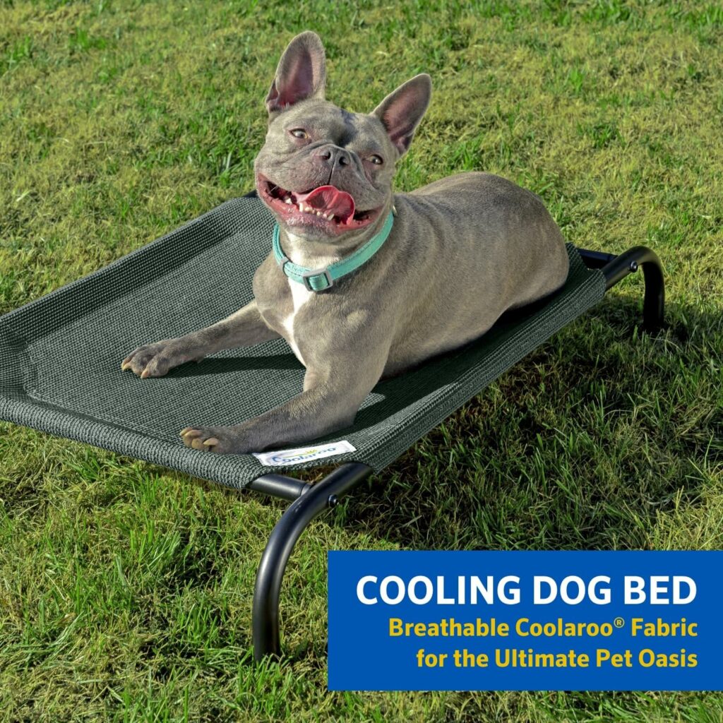 Coolaroo The Original Cooling Elevated Pet Bed, Medium, Brunswick Green