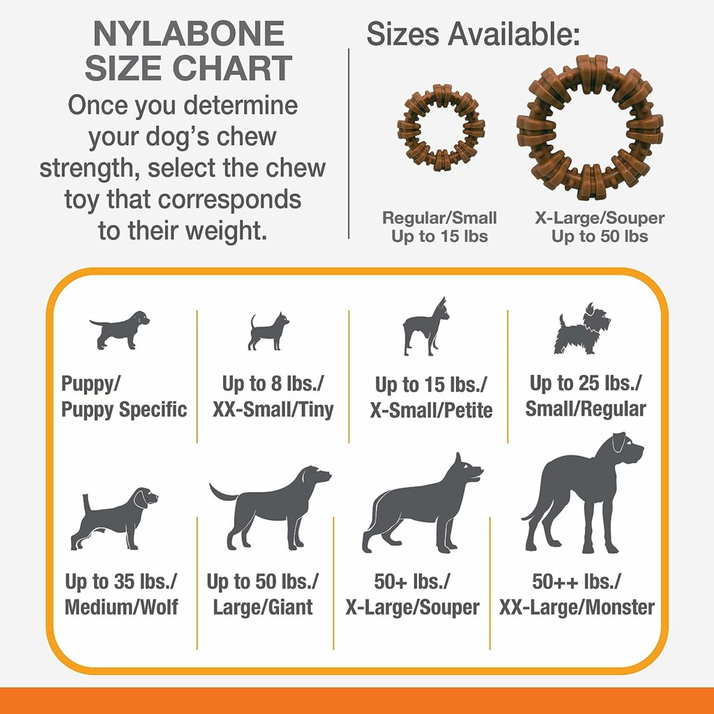 Nylabone Power Chew Textured Dog Chew Ring Toy - Tough and Durable Dog Chew Toy for Aggressive Chewers - Flavor Medley, Small/Regular (1 Count)