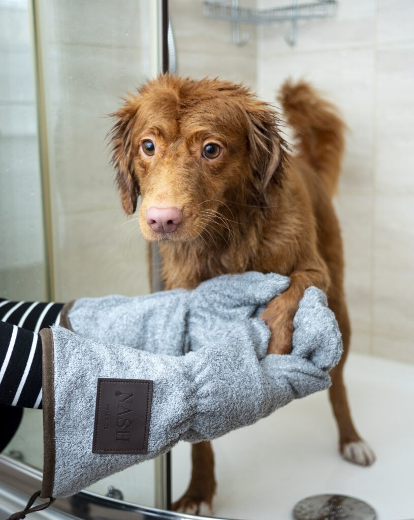 Ultimate Guide to Pet Grooming