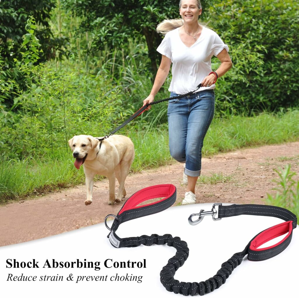 VIVAGLORY Heavy Duty Bungee Dog Leash with Dual Padded Handles, No Pull Reflective Training Leash with Traffic Handle for Medium Large Breed Dogs with Adjustable Sizes (4FT-5.5FT)