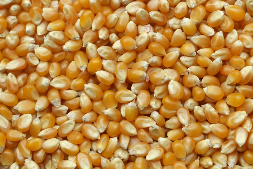 What Are Some Tips For Achieving The Right Texture When Cooking Grains Like Rice, Quinoa, And Pasta?